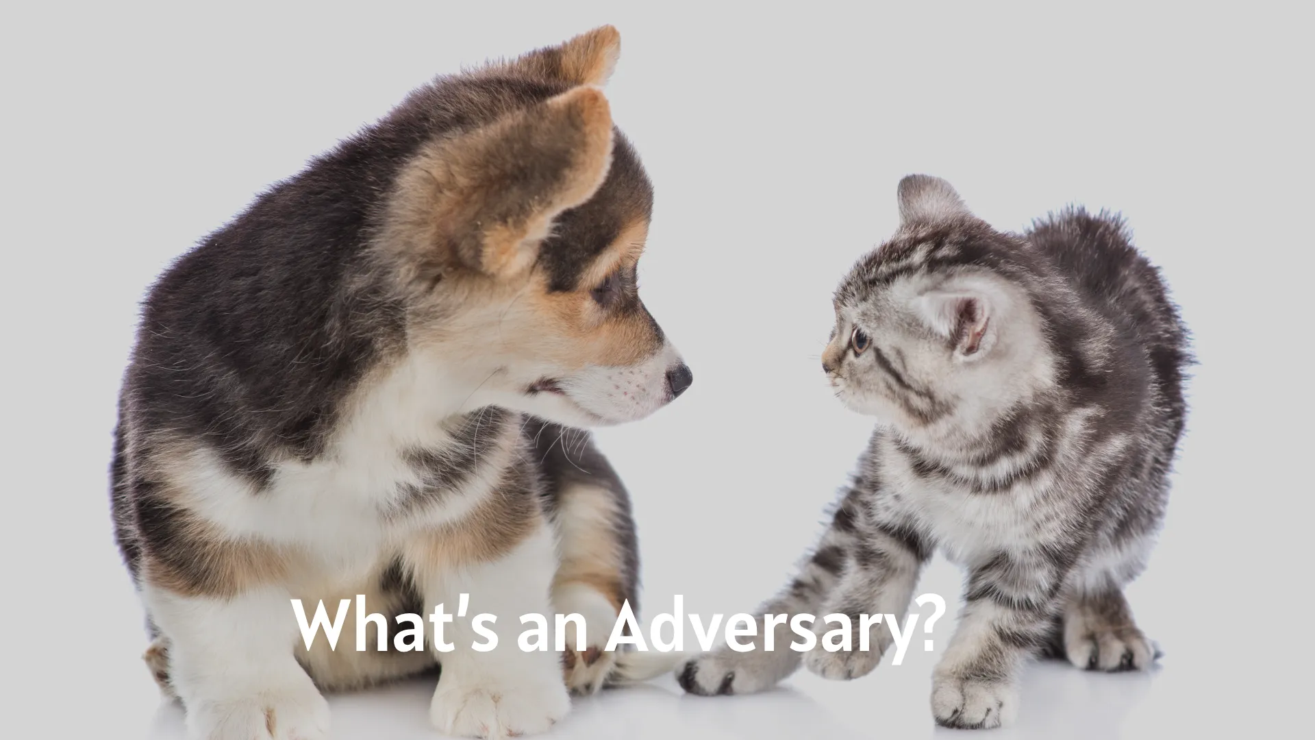 What’s an Adversary?
