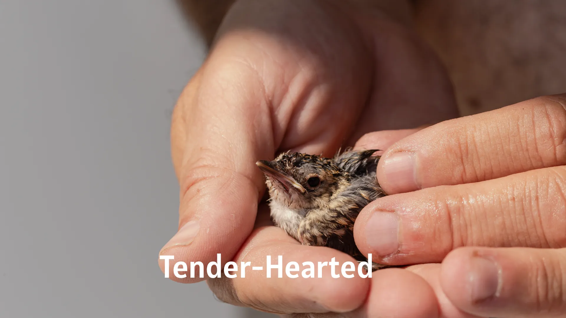 Tender-Hearted