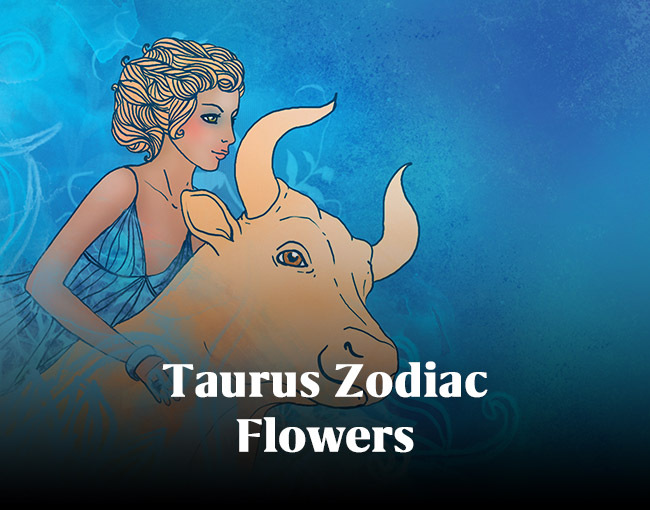 Taurus Zodiac Flowers Mysticsense