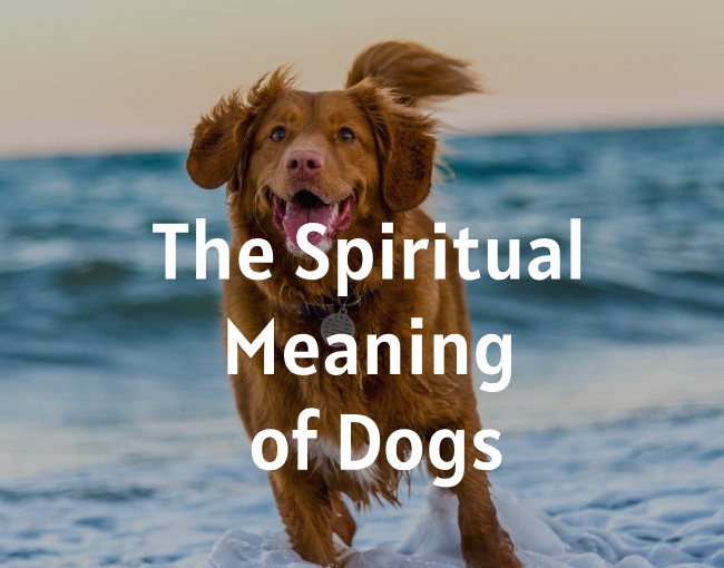 Dog Spiritual Meaning, Symbolism, and Dreams Mysticsense