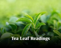 The Essential Guide to Tea Leaf Readings
