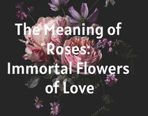 The Meaning of Roses: Immortal Flowers of Love