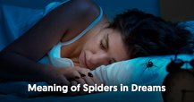 The Meaning of Spiders in Dreams