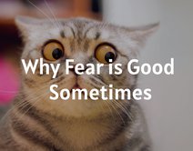 Why Fear is Good Sometimes
