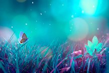 Dream Interpretation for Beginners