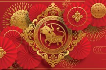 A Guide to the Chinese Zodiac