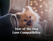 Year of the Dog Love Compatibility