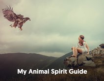 My Animal Spirit Guide