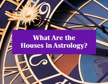 Venus in the Houses