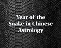 The Year of the Snake in Chinese Astrology