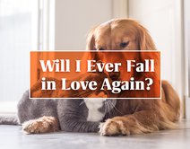 Will I Ever Fall in Love Again?