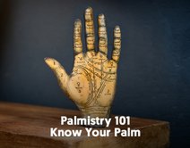 Palmistry 101- Know Your Palm
