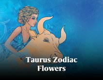 The Top Ten Taurus Zodiac Flowers