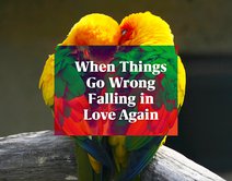 When Things Go Wrong Falling in Love Again