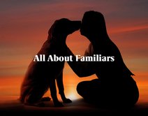 All About Familiars