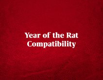 Year of the Rat Compatibility