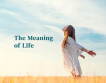 The Meaning of Life