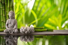 The Art Of Feng Shui