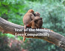 Year of the Monkey Love Compatibility