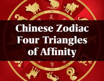 The Four Triangles of Affinity in the Chinese Zodiac