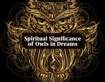 The Symbolic Meaning of Owls