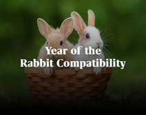 Year of the Rabbit Compatibility