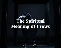 The Spiritual Meaning of Crows