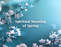 The Spiritual Meaning of Spring