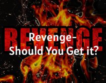 Revenge- Should You Get it?